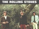 ROLLING STONES--PICTURE SLEEVE + 45--(PAINT IT BLACK)--PS--PIC--SLV