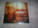 DAVE GAHAN (depeche mode) - SAW SOMETHING / DEEPER and DEEPER - 9 track promo.
