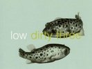 LOW+DIRTY THREE - IN THE FISHTANK  VINYL LP NEW
