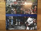 Skarhead Dreams Dont Die LP LIMITED 13/150 NYHC Agnostic Front Madball H2O