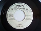 marty wilde wild cat