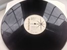 Desi Roots- Children In Exile...UK LP...Hawkeye Records...1982