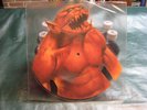 Metallica  Jump in the Fire   shaped picture disc