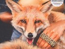 Beginner Advanced Chemistry hhv Exclusive Colored Vinyl Edition NEU OVP