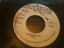 I am what I am - Jackie Opel b/w Devil's Bug - Soul Brothers