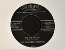 HEAR MP3 BLACK GOSPEL SOUL Golden Trumpets Skyland 4119 See About Me