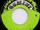 Soulites RISE AND SHINE Rare KILLER ROOTS Gemini 45 Listen