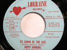 Soul 45 - Nippy Hawkins & Nip-Tones - It’s gonna be too late - Mint-