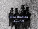 Blue Orchids - Awefull [Vinyl New]