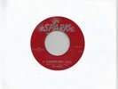 Doo-Wop The Robins 