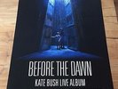 KATE BUSH -ORIGINAL PROMO POSTER - BEFORE THE DAWN - 50x70 CM (for NEW 4LP)
