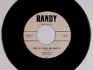 KENNY & THE CADETS: Barbie / What is a Young RANDY Beach Boys 70s RE 45 NM-
