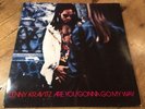 LP Virgin ?– VUSLP 60 Lenny Kravitz ?– Are You Gonna Go My Way 1993 VINYL