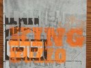 KING BUZZO MELVINS TWEAK BIRD SCION PROMO 7