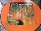 SLAYER. Rare Picture Disc. Hell Awaits. Perfect Condition