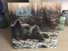 R.E.M. - Murmur - 1983 IRS Records Vinyl LP Album  w/ Orig Inner Sleeve EX