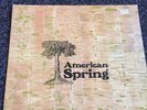 American Spring - 1972 Vinyl LP - United Artists Records