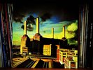 Pink Floyd Animals album cover color photograph picture poster art print photo