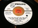 RANDY LEE - LIKE THE FELLER AND THE GIRL ON THE LATE   /  LISTEN - TEEN POPCORN