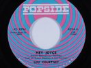 Northern Soul Funk Breaks 45 LOU COURTNEY Hey Joyce POPSIDE HEAR