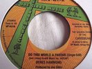 BERES HAMMOND   DO THIS WORLD A FAVOUR ** JOE GIBBS MUSIC 45