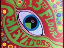 The 13th Elevators, The Psychedelic Sounds Of, Original Stereo Press,VG+ Psych