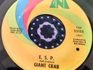 Monstrous Garage Psych Heavy Fuzz Burner 45 Giant Crab E.S.P.  / Hot Line HEAR