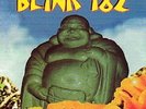 BLINK 182 - BUDDHA - VINYL