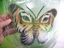 Talk Talk ? Living In Another World 1986 UK Vinyl Picture Disc Shape Rare SEALED