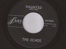 ECHOS haunted RARE ROCKABILLY tittyshaker SAGE 45 orig LISTEN