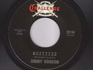 JIMMY GORDON buzzzzzz CHALLENGE garage fuzz NM ORIG 45 LISTEN