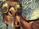 Camel Driver - Camel Driver