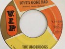 UNDERDOGS - LOVE'S GONE BAD - V.I.P.