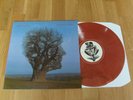 PINK FLOYD BRAVE NEW WORLD (Wish You Were LIVE) COLOURED MARBLE VINYL NEAR MINT