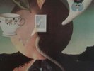Nick Drake   Pink Moon Vinyl