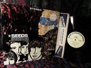 BUZZ  THE SEEDS   FUTURE Psych Garage FLOWER POWER = 1967 ACID PSYCHEDELIC LP