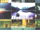 Bonobo-One Offs....Remixes & B Sides  VINYL NEW