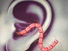 THEE OH SEES - An Odd Entrances - Vinyl (LP + insert + MP3 download code)