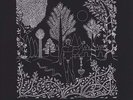DEAD CAN DANCE Garden of Arcane Delights & Peel Sessions 2LP Vinyl NEW