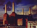 Pink Floyd - Animals [Vinyl New]