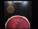 Womb Womb Dot Records DLP 25933 Vinyl LP w/ SLEEVE