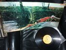 SPRING DEBUT PSYCHEDELIC NEW ZEALAND 1ST PRESS NE6 AGBS-0521 A/B-1 EX VERY RARE