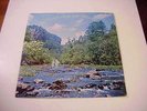 WANDERING THE WOODS Private RARE PSYCH FOLK RURAL Mark & Bonnie Branciaroli 1979