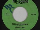 Reggae/Calypso 45 - Adoms Treo - Reggae Experience - Nu-Sound - mp3