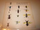 Syd Barrett (Pink Floyd) s/t Harvest EMI UK SHSP 4007 1970
