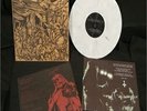 FISTER - Violence 10