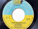 WE THE PEOPLE-MAKING MY DAYDREAM REAL /WHATCHA DONE FOR ME ON LION 70S SOUL 45