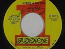 Reggae Soul 45 - Alton Ellis - Sitting In The Park - Studio One - VG+ mp3