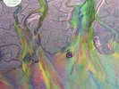 Alt J AN AWESOME WAVE Debut Album +MP3s GATEFOLD New Sealed Vinyl LP