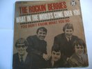 THE ROCKIN BERRIES